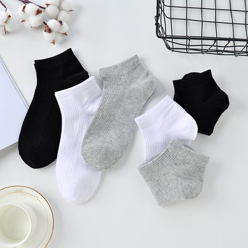 Wormwood Aromatherapy Mens Deodorant Socks – Gift Box