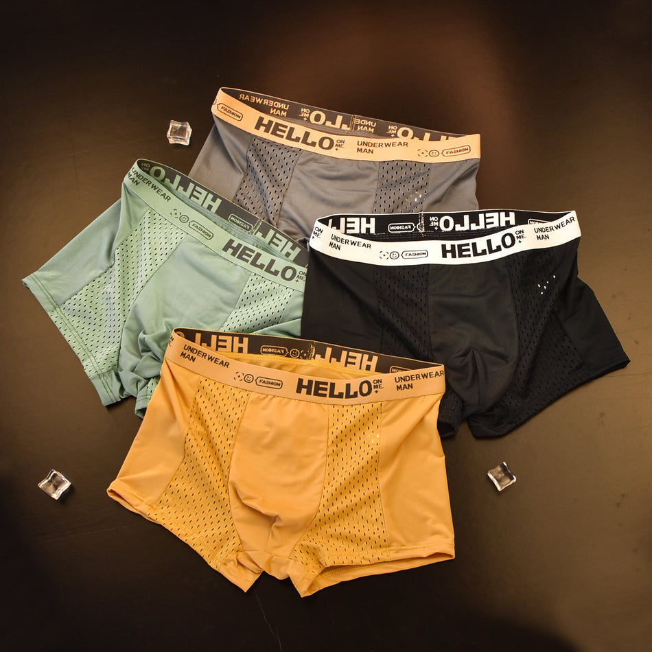 Pack of 4 Summer Ice Silk Mesh Mens Boxers